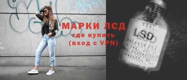 индика Наволоки