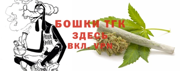 индика Наволоки