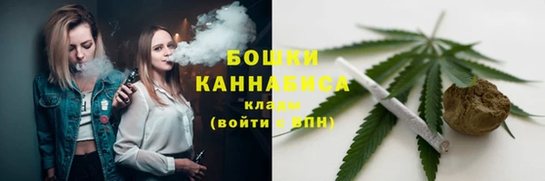 индика Наволоки