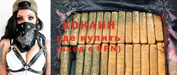 твердый Михайлов