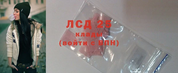 твердый Михайлов
