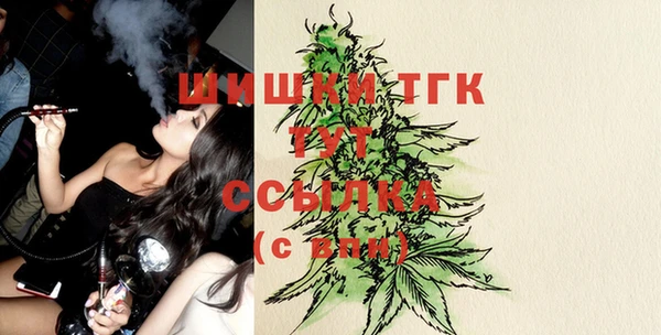 соль ск Надым